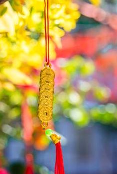  Trung tâm giải trí số 